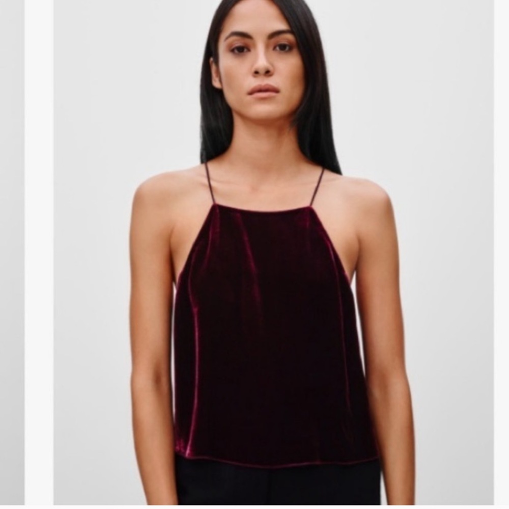 Aritzia Wilfred Silk Top